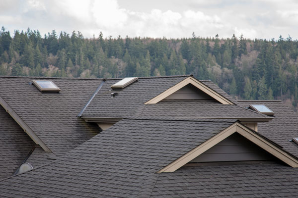 Composition Roofing Services