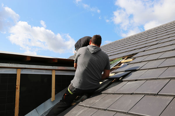 New Roof Installation Services