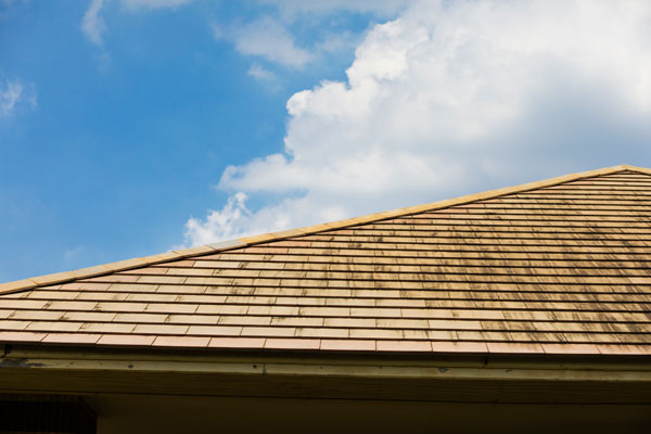 Wooden Shake Roof Installation